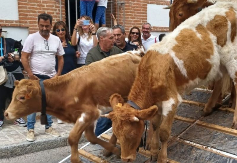 fiestas de brunete