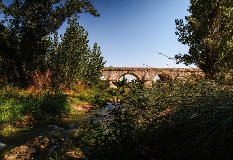 El Ayuntamiento lanza el proyecto Descubre Las Rozas para optimizar la gestión del turismo