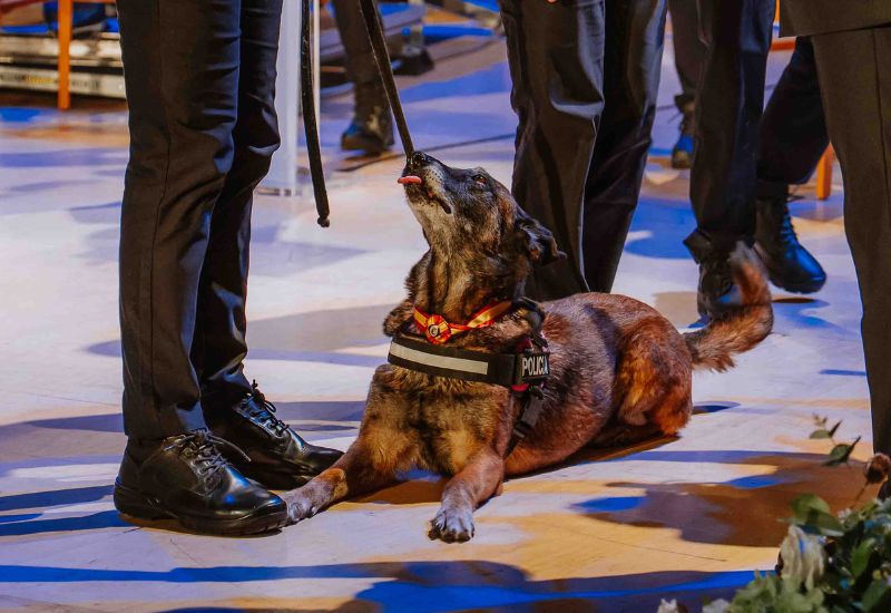 Las Rozas rinde homenaje a la Policía Local con motivo de la festividad de San Juan
