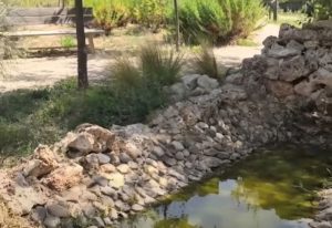 El Biobosque de El Mirador en Villalbilla recupera la biodiversidad y crea un espacio natural