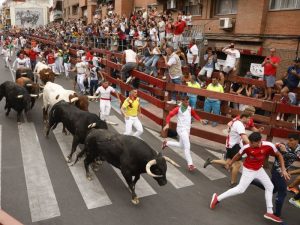 Las Fiestas de San Sebastián de los Reyes vuelven con un programa de más de 230 actividades