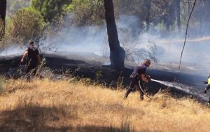 Se estabiliza el incendio en la zona del Cerro Almodón en San Martín de Valdeiglesias