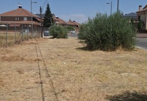 El Ayuntamiento de Griñón mejora las vías pecuarias y espacios verdes del municipio