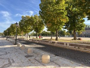 Aranjuez aprueba el inicio del expediente de contratación para las obras de rehabilitación de varias calzadas