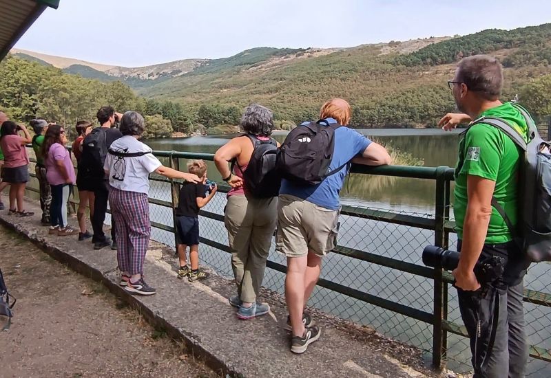 Curso de ornitología en Miraflores de la Sierra